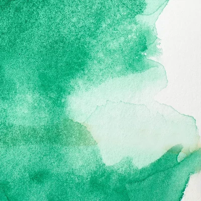Vopsea de acuarelă Winsor&amp;Newton Professional, in recipient  1/2 - 721, Winsor green (yellow shade)