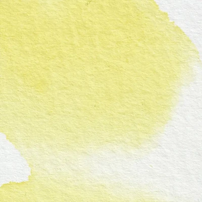 Vopsea de acuarelă Winsor&amp;Newton Professional, in recipient  1/2 - 722, Winsor lemon