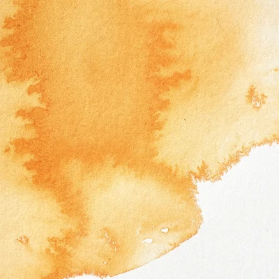 Vopsea de acuarelă Winsor&amp;Newton Professional, in recipient  1/2 - 724, Winsor orange