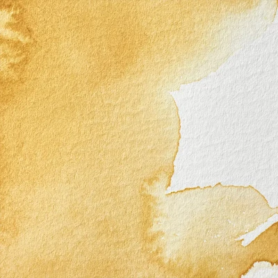 Vopsea de acuarelă Winsor&amp;Newton Professional, in recipient  1/2 - 745, yellow ochre light