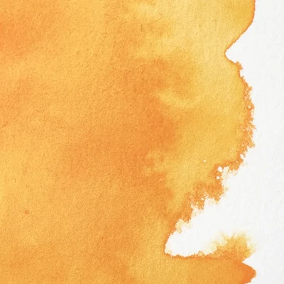 Vopsea de acuarelă Winsor&amp;Newton Professional, in recipient  1/2 - 891, cadmium free yellow deep