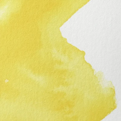 Vopsea de acuarelă Winsor&amp;Newton Professional, in recipient  1/2 - 898, cadmium free lemon