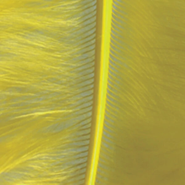 Pene marabu  - galben lamaie, 8-10 cm, 22 buc/pachet