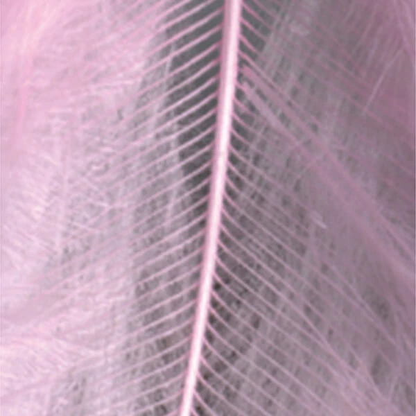 Pene marabu  - roz, 8-10 cm, 22 buc/pachet
