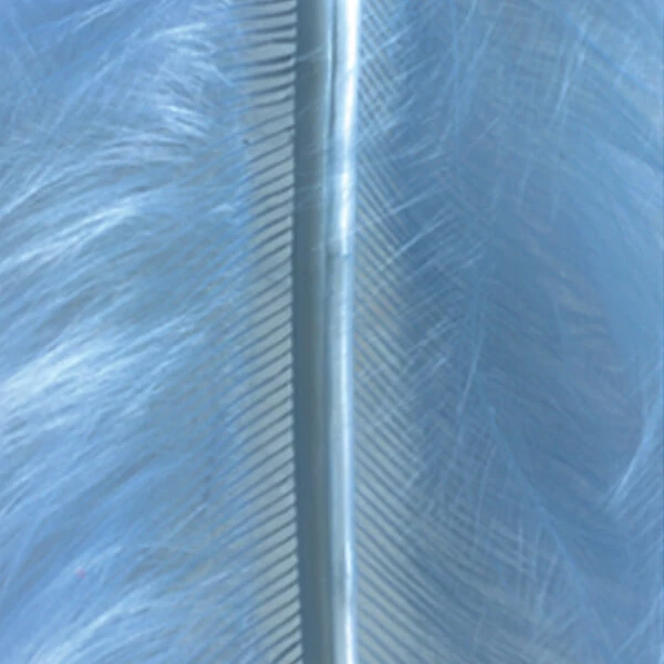 Pene marabu  - albastru deschis, 8-10 cm, 22 buc/pachet