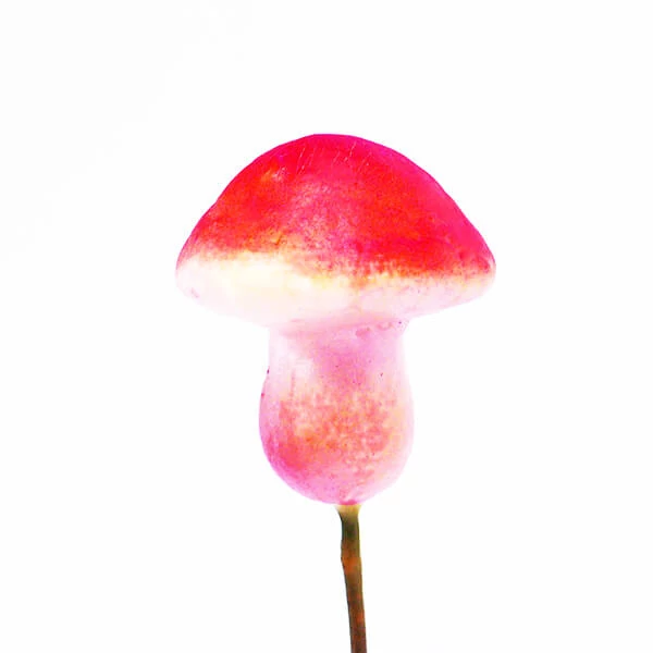 Ciupercă decor- roșie, 2,5 cm