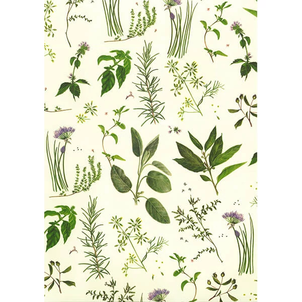 Hârtie de decoupage Tassotti - ierburi aromatice