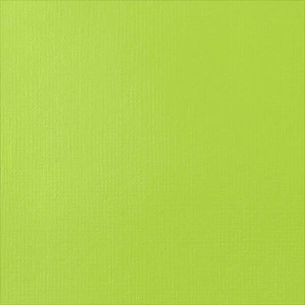 Liquitex Heavy Body vopsea acrilică, 59 ml - 840, brilliant yellow green
