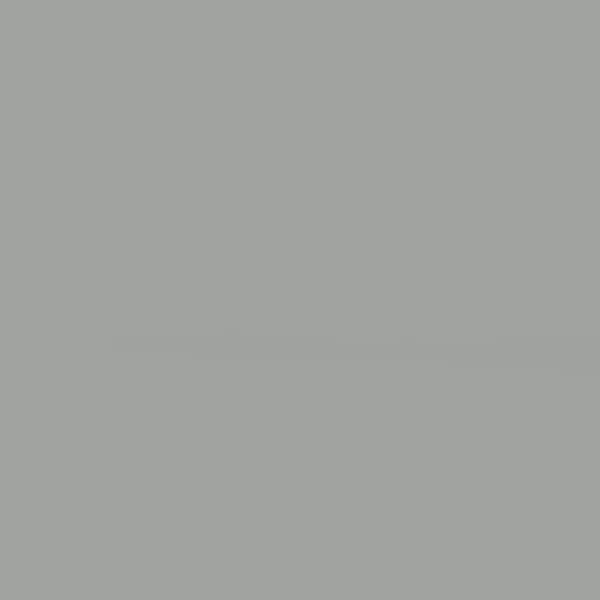 Spray vopsea   Pinty Plus Home, 400 ml - 417 rainy grey