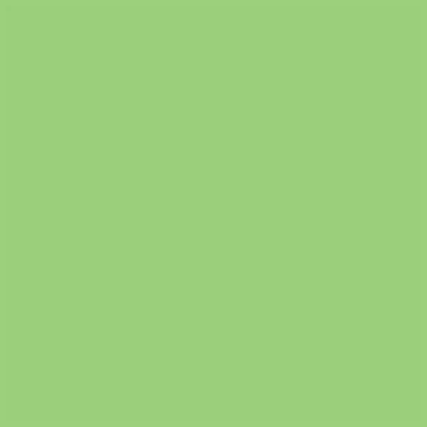 Marker tip pensulă cu alcool cu două vârfuri Promarker Brush - G338, apple