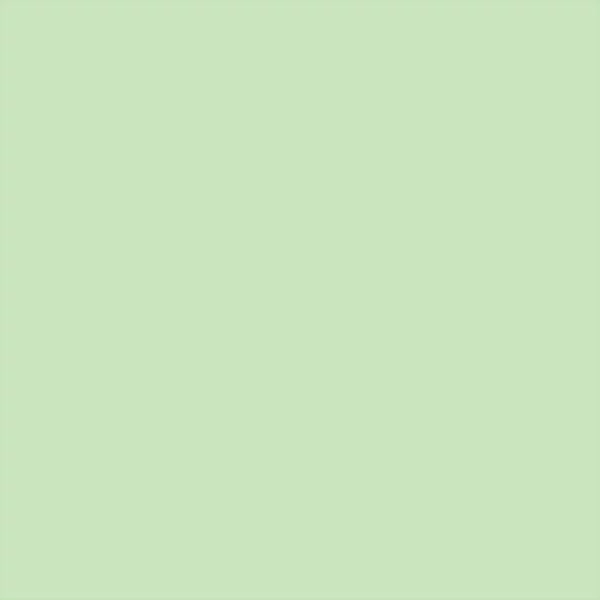 Marker tip pensulă cu alcool cu două vârfuri Promarker Brush - G339, meadow green