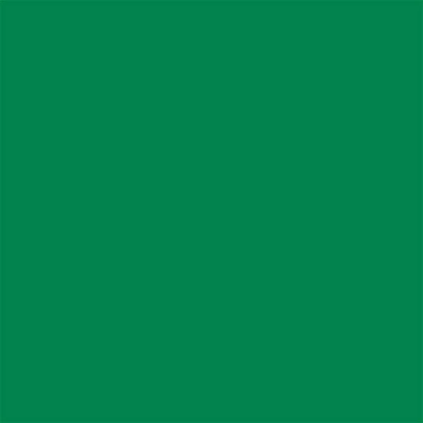 Marker tip pensulă cu alcool cu două vârfuri Promarker Brush - G756, lush green