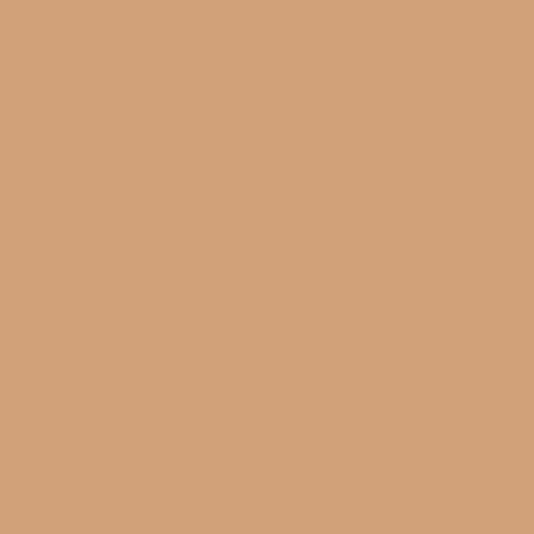Marker tip pensulă cu alcool cu două vârfuri Promarker Brush - O427, cinnamon