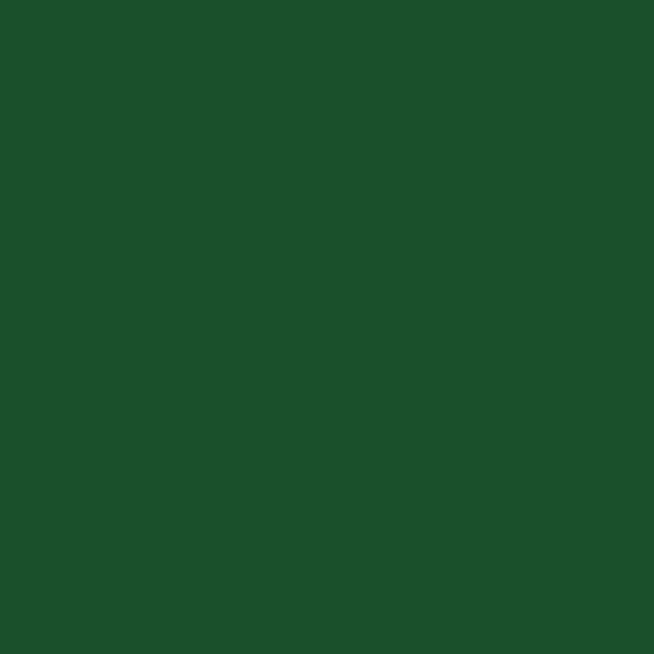 Talens Rembrandt Culori ulei, 40 ml - 629, green earth