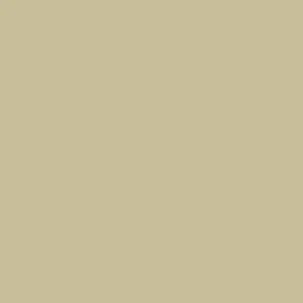 Talens Rembrandt Culori ulei, 40 ml - 800, silver
