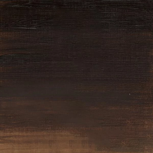 Winsor&Newton Artisan Culori ulei solubile în apă, 37 ml - 554, raw umber