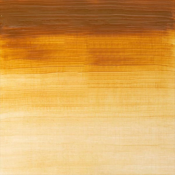Winsor&Newton Winton Culori ulei, 37 ml - 552, raw sienna