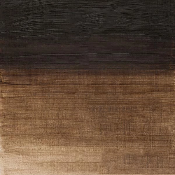 Winsor&Newton Winton Culori ulei, 37 ml - 554, raw umber