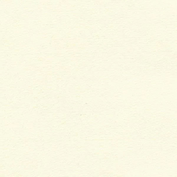 Hârtie Hahnemühle Ingres, 100 g, 48x62,5 cm - 252 ivory