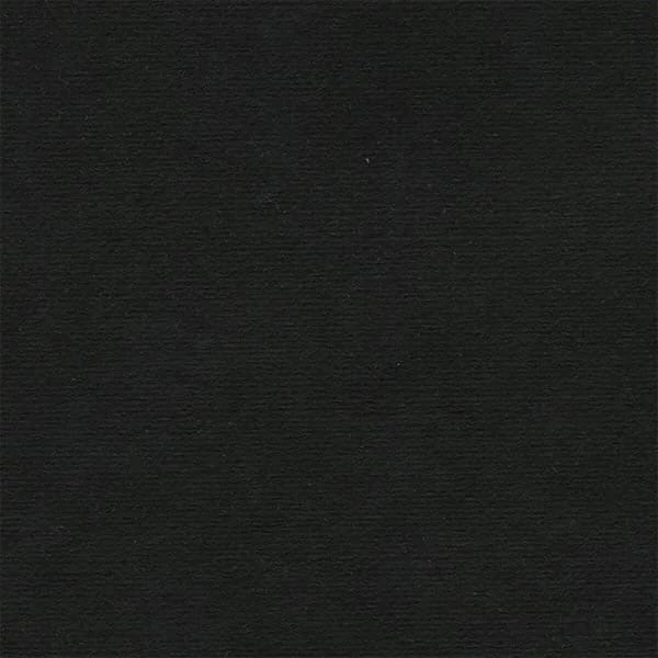 Hârtie Hahnemühle Ingres, 100 g, 48x62,5 cm - 261 black