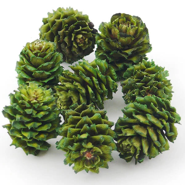 Cultură uscată - con Salignum, verde