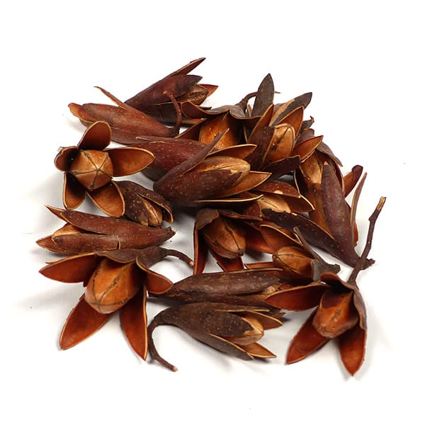 Plante uscate - Crin stea, maro natural, 10 g