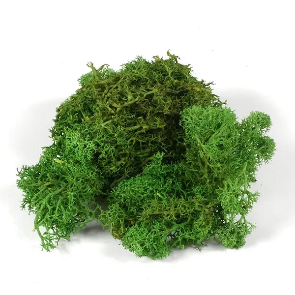 Plante uscate - mușchi islandez, verde, 25 g