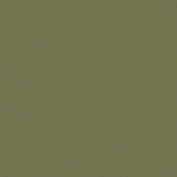 Pentart Dekor Paint Chalky vopsea cretă , 100 ml - spini