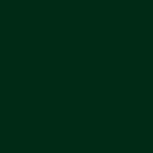 Pentart Dekor Paint Chalky vopsea cretă , 100 ml - verde de pin
