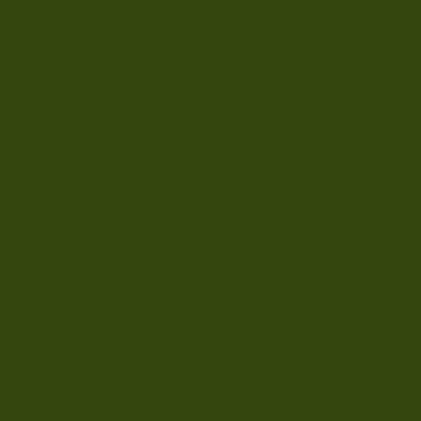 Cernit N1. plastilină cu uscare prin coacere , 56 g - verde masline (645)