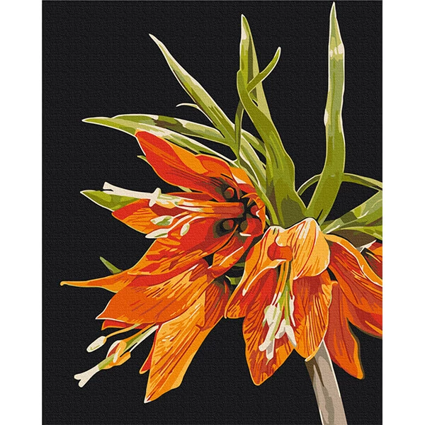 Set pictură pe numere, pe pânză întinsă 40x50 cm - Anastasiia Osmolovska: Fritillaria imperialis