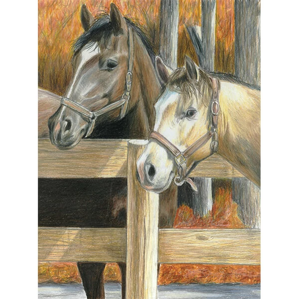 Set de colorat după numere, creioane colorate+ascuțitoare, 22x30 cm - Cai