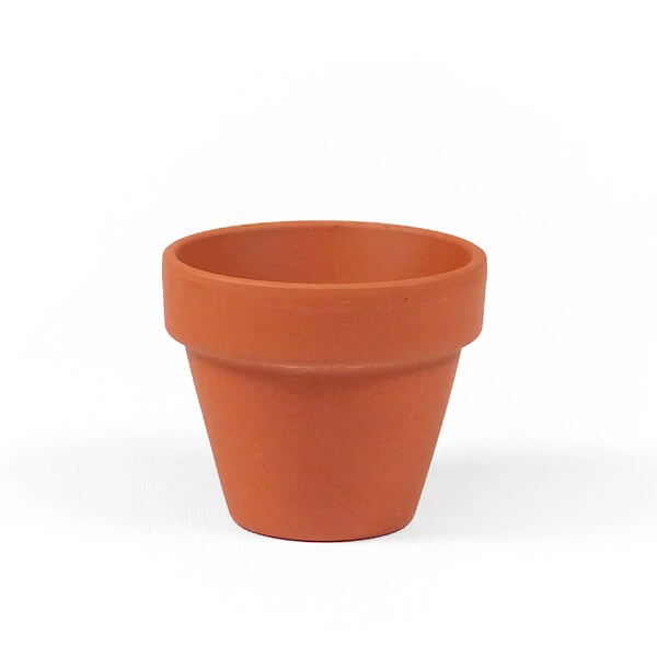 Ghiveci  flori - 5 cm