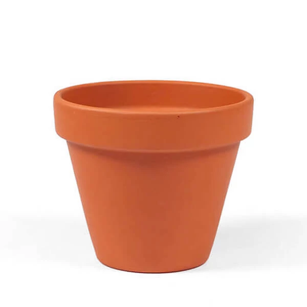 Ghiveci  flori - 10 cm