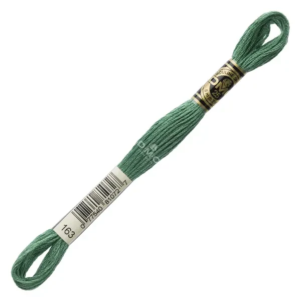 Ață pentru broderie DMC Mouliné (împărțit, 6 fire), 8 m - 211-163, Green