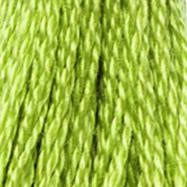 Ață pentru broderie DMC Mouliné (împărțit, 6 fire), 8 m - 254-907, Parrot Green - LT