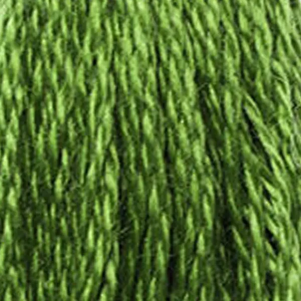 Ață pentru broderie DMC Mouliné (împărțit, 6 fire), 8 m - 256-905, Parrot Green - DK