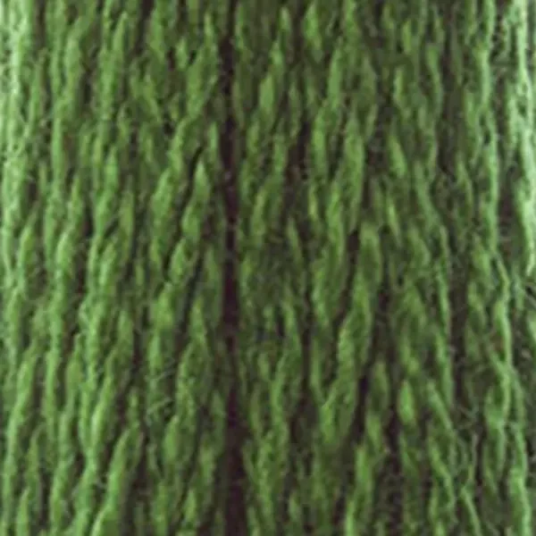 Ață pentru broderie DMC Mouliné (împărțit, 6 fire), 8 m - 257-904, Parrot Green - VY DK