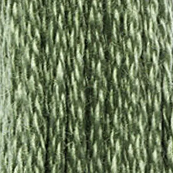 Ață pentru broderie DMC Mouliné (împărțit, 6 fire), 8 m - 267-3363, Pine Green - MED