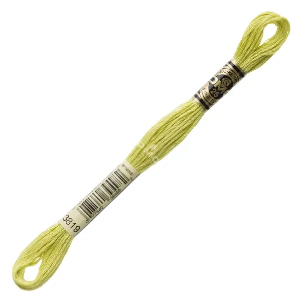 Ață pentru broderie DMC Mouliné (împărțit, 6 fire), 8 m - 273-3819, Moss Green - LT