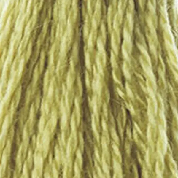 Ață pentru broderie DMC Mouliné (împărțit, 6 fire), 8 m - 284-734, Olive Green - LT