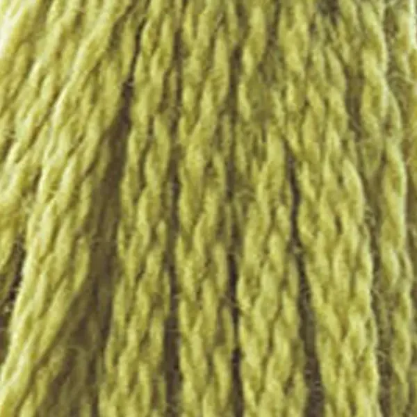 Ață pentru broderie DMC Mouliné (împărțit, 6 fire), 8 m - 285-733, Olive Green - MED
