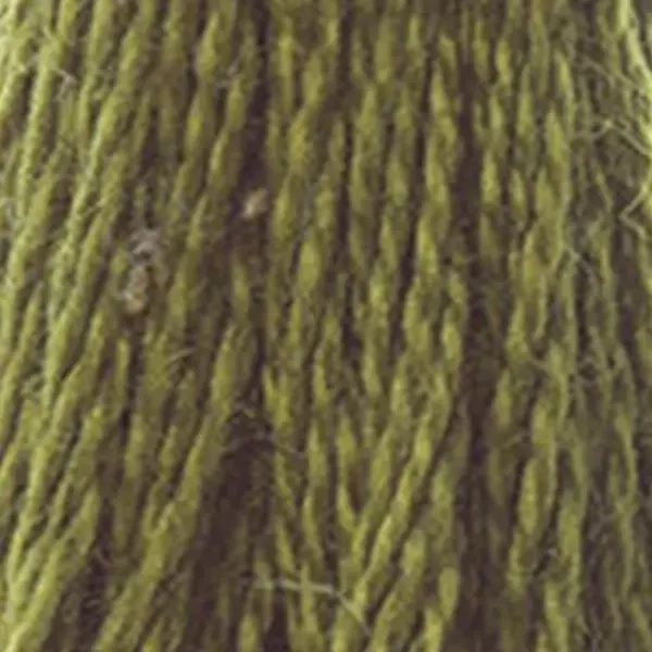 Ață pentru broderie DMC Mouliné (împărțit, 6 fire), 8 m - 287-730, Olive Green - VY DK
