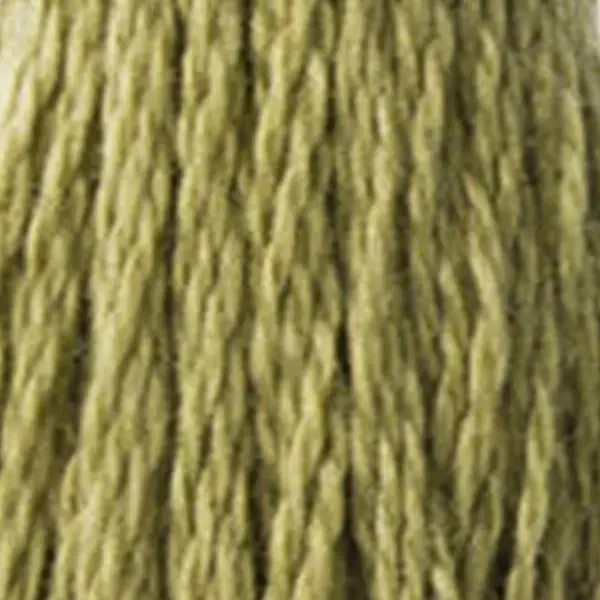 Ață pentru broderie DMC Mouliné (împărțit, 6 fire), 8 m - 289-3012, Khaki Green - MED