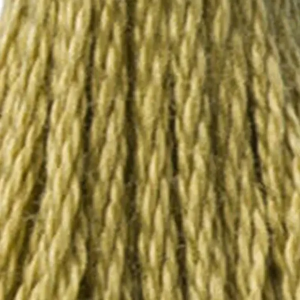 Ață pentru broderie DMC Mouliné (împărțit, 6 fire), 8 m - 293-370, Mustard - MED