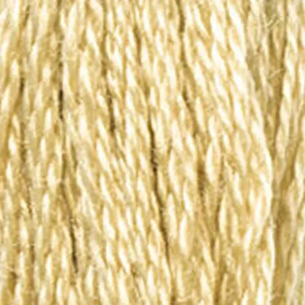 Ață pentru broderie DMC Mouliné (împărțit, 6 fire), 8 m - 304-422, Hazelnut Brown - LT