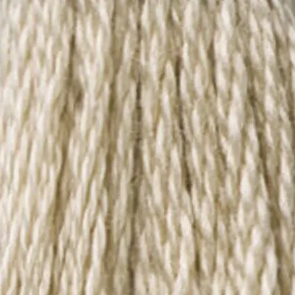 Ață pentru broderie DMC Mouliné (împărțit, 6 fire), 8 m - 308-613, Drab Brown - VY LT