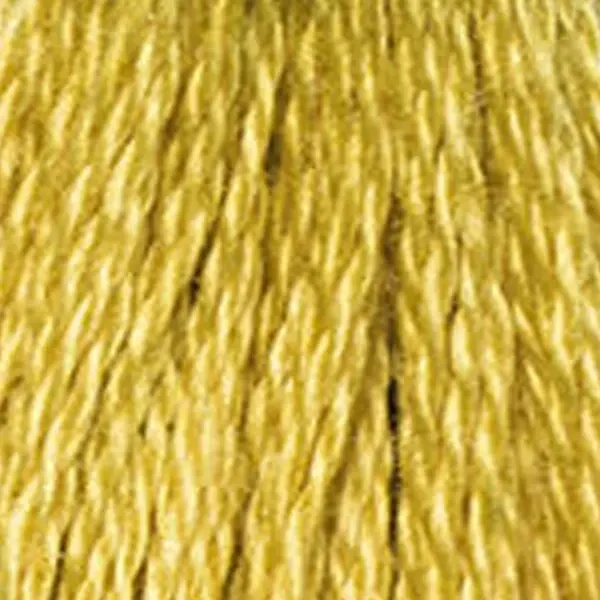 Ață pentru broderie DMC Mouliné (împărțit, 6 fire), 8 m - 322-3820, Straw - DK