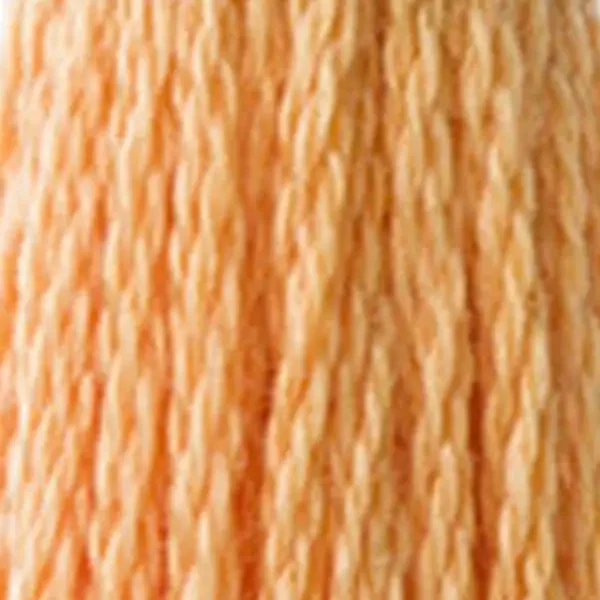 Ață pentru broderie DMC Mouliné (împărțit, 6 fire), 8 m - 331-3854, Autumn Gold - MED