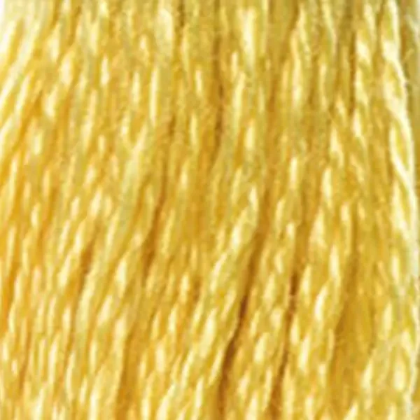 Ață pentru broderie DMC Mouliné (împărțit, 6 fire), 8 m - 345-725, Topaz